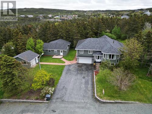 10 Chrisara Place, Portugal Cove - St. Phillips, NL - Outdoor With View