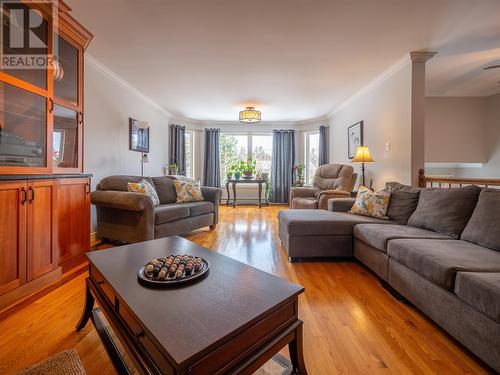 10 Chrisara Place, Portugal Cove - St. Phillips, NL - Indoor Photo Showing Living Room