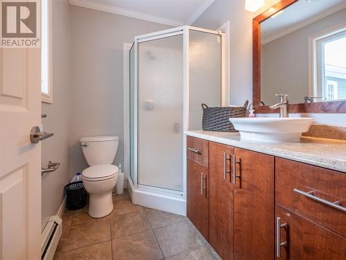 10 Chrisara Place, Portugal Cove - St. Phillips, NL - Indoor Photo Showing Bathroom