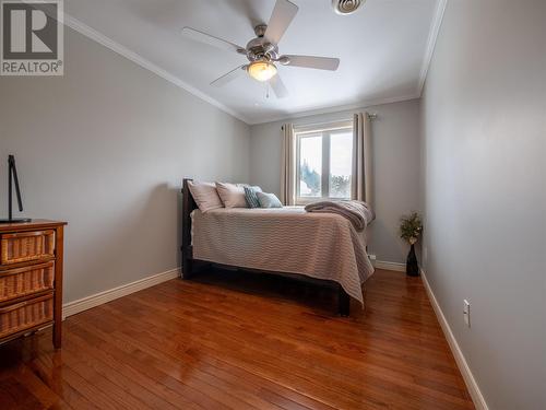 10 Chrisara Place, Portugal Cove - St. Phillips, NL - Indoor Photo Showing Bedroom