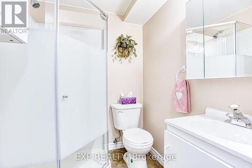 8 Starlight Court, Hamilton, ON - Indoor Photo Showing Bathroom