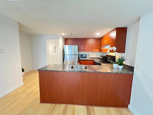 Kitchen - 310-88 Rue Charlotte, Montréal (Ville-Marie), QC - Indoor Photo Showing Kitchen With Double Sink