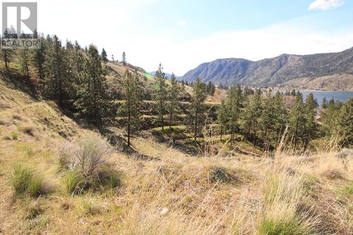 315 Eastside Road, Okanagan Falls, BC - Outdoor With View