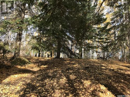 Liana'S Lane, Emerald Lake, SK - Outdoor