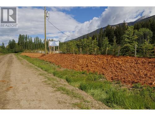 11920 Essen Road, Valemount, BC 