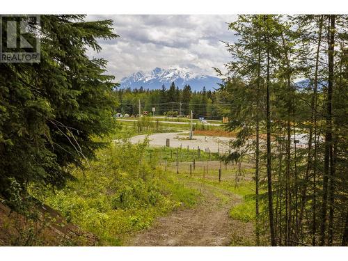 11920 Essen Road, Valemount, BC 