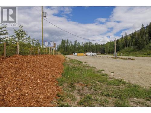 11920 Essen Road, Valemount, BC 