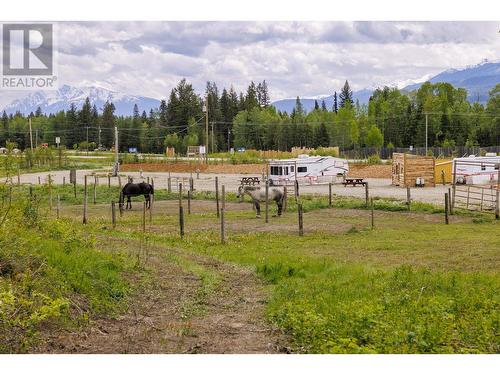 11920 Essen Road, Valemount, BC 