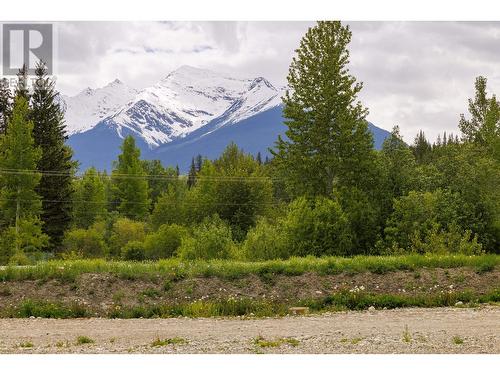 11920 Essen Road, Valemount, BC 