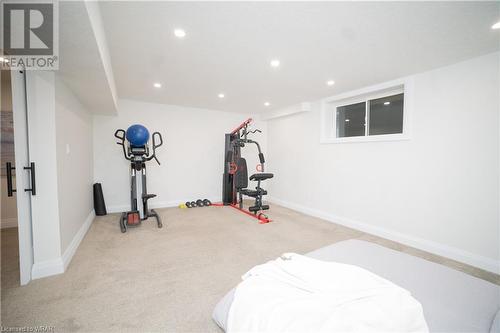 19 Netherwood Road, Kitchener, ON - Indoor Photo Showing Gym Room