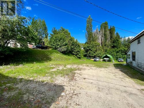 87 Nelson Avenue, Nakusp, BC - Outdoor