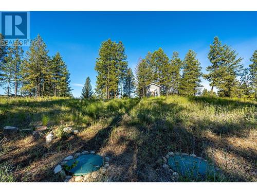 375 Grizzly Place, Osoyoos, BC 