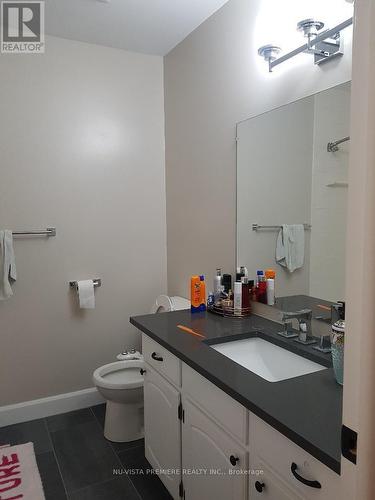 1307 Hastings Drive, London, ON - Indoor Photo Showing Bathroom