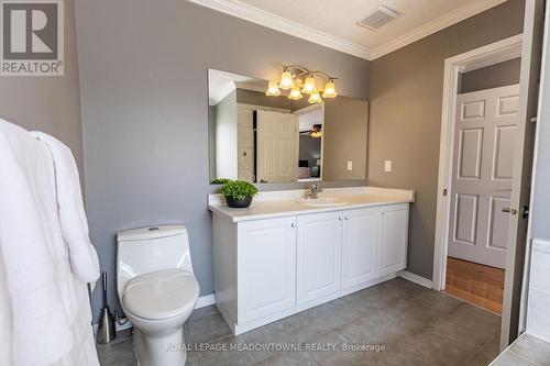 1042 Zimmerman Crescent, Milton, ON - Indoor Photo Showing Bathroom