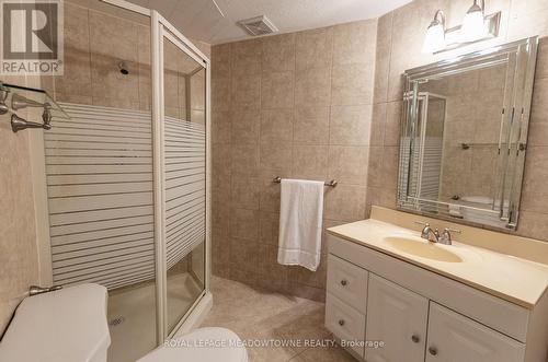 1042 Zimmerman Crescent, Milton, ON - Indoor Photo Showing Bathroom