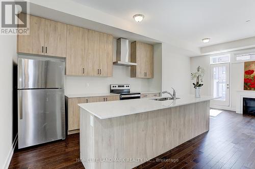 31 Credit Lane, Richmond Hill, ON - Indoor Photo Showing Kitchen With Double Sink