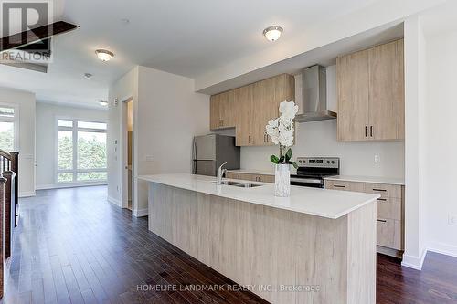 31 Credit Lane, Richmond Hill, ON - Indoor Photo Showing Kitchen With Double Sink