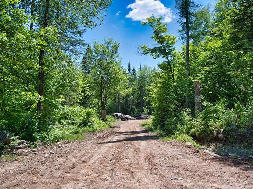 Woodland - Mtée Fugère, Labelle, QC 