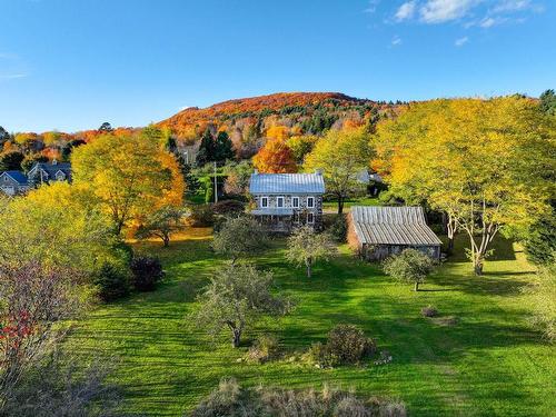 Terre/Terrain - 411 Ch. Des Moulins, Mont-Saint-Hilaire, QC - Outdoor With View