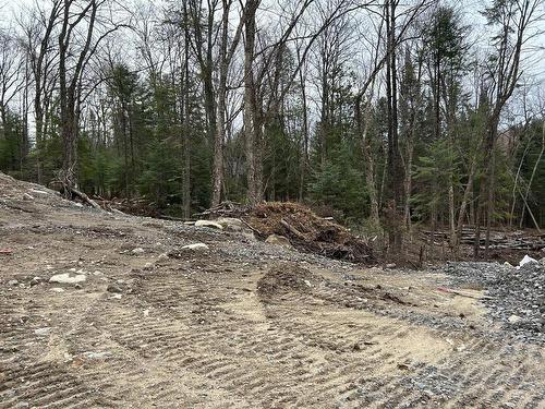 Terre/Terrain - Ch. Du Lac-Aux-Bois-Francs E., Rivière-Rouge, QC 