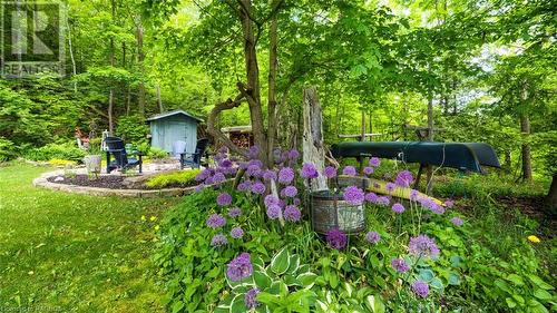 11 & Lot 17 Shoreline Drive, Northern Bruce Peninsula, ON - Outdoor