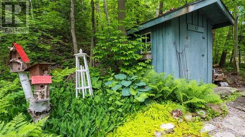 11 & Lot 17 Shoreline Drive, Northern Bruce Peninsula, ON - Outdoor