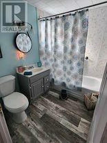 3 Sunset Drive, Badger, NL - Indoor Photo Showing Bathroom