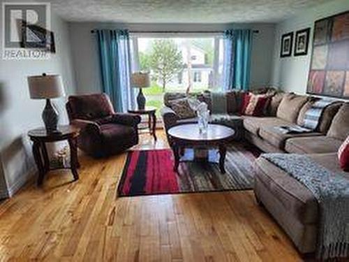 3 Sunset Drive, Badger, NL - Indoor Photo Showing Living Room