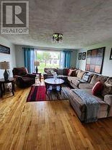 3 Sunset Drive, Badger, NL - Indoor Photo Showing Living Room