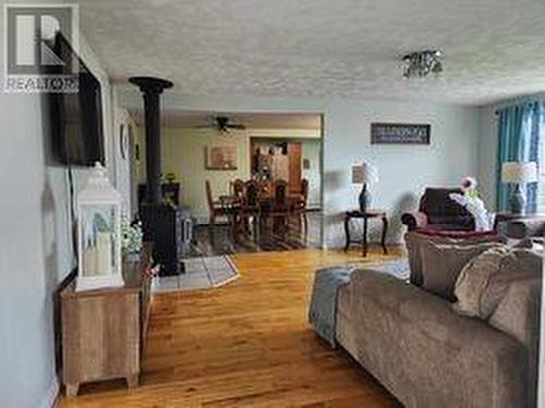 3 Sunset Drive, Badger, NL - Indoor Photo Showing Living Room