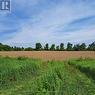 24849 Woodbine Avenue E, Georgina, ON 