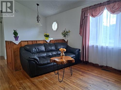 2 Victoria Street, Lyn, ON - Indoor Photo Showing Living Room