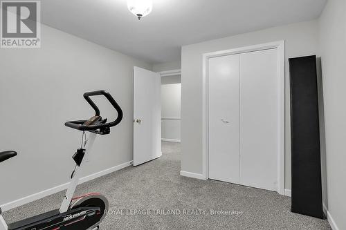 734 Griffith Street, London, ON - Indoor Photo Showing Gym Room