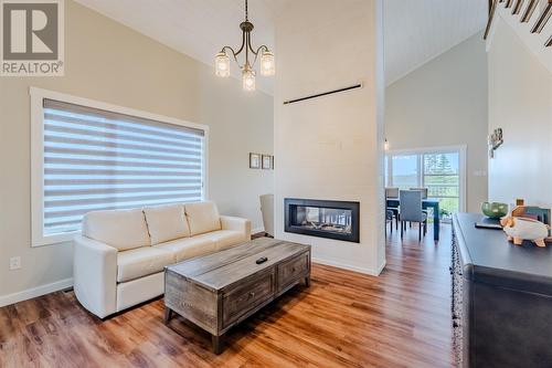 0 Salmonier Line, Holyrood, NL - Indoor Photo Showing Living Room With Fireplace