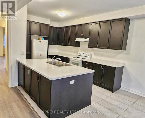 74 Humphrey Street, Hamilton, ON - Indoor Photo Showing Kitchen With Double Sink