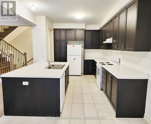 74 Humphrey Street, Hamilton, ON - Indoor Photo Showing Kitchen With Double Sink