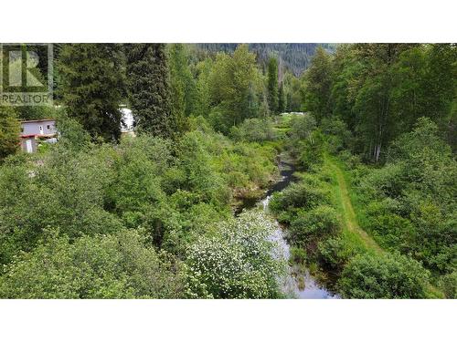 5860 Trans Canada Hwy 1, Malakwa, BC - Outdoor With View