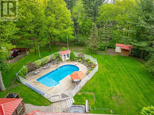 239 Oxbow Park Road, Wasaga Beach, ON - Outdoor With In Ground Pool With Deck Patio Veranda With Backyard