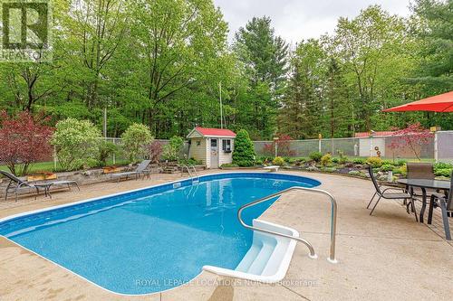 239 Oxbow Park Road, Wasaga Beach, ON - Outdoor With In Ground Pool With Deck Patio Veranda With Backyard