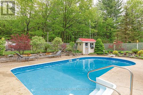 239 Oxbow Park Road, Wasaga Beach, ON - Outdoor With In Ground Pool With Backyard