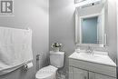307 Teetzel Drive, Milton, ON  - Indoor Photo Showing Bathroom 