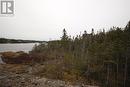 Lot 59A Inner Pond North Road, Whitbourne, NL 