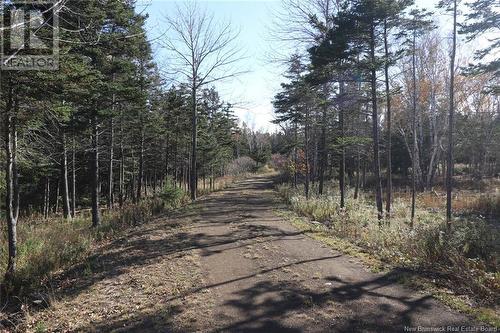 Lot 10-05 Golden Mile Drive, Grand Manan, NB 