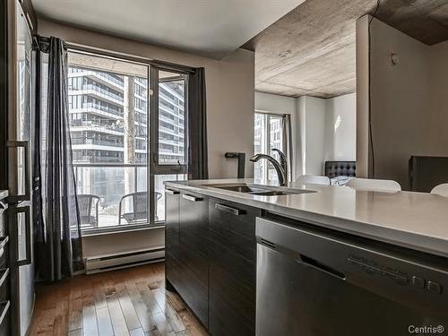 Kitchen - 316-225 Rue De La Montagne, Montréal (Le Sud-Ouest), QC - Indoor Photo Showing Kitchen With Double Sink