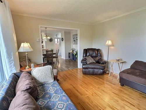 Living room - 23 Rue Champoux, Notre-Dame-Du-Nord, QC - Indoor Photo Showing Living Room