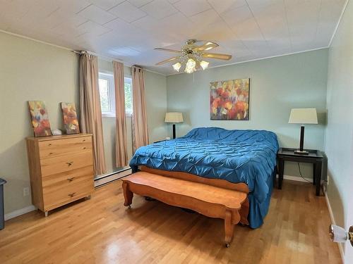 Master bedroom - 23 Rue Champoux, Notre-Dame-Du-Nord, QC - Indoor Photo Showing Bedroom