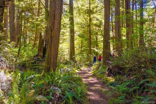 Lot 9 Nuchatlitz Island, See Remarks, BC 