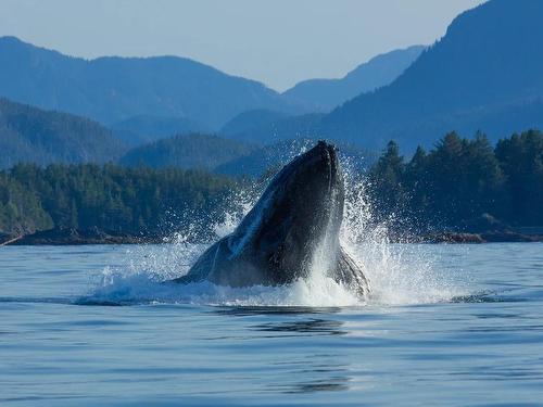 Lot 9 Nuchatlitz Island, See Remarks, BC 