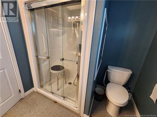 624 3Rd Avenue, Grand-Sault/Grand Falls, NB - Indoor Photo Showing Bathroom