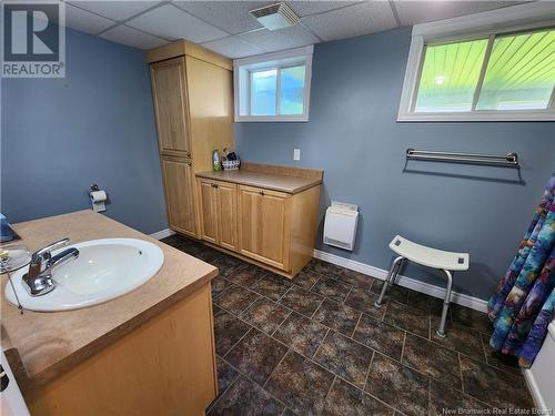 624 3Rd Avenue, Grand-Sault/Grand Falls, NB - Indoor Photo Showing Bathroom